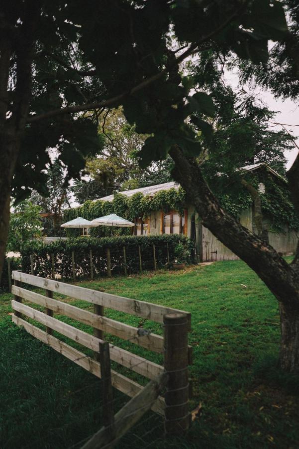 Converted Barn - Tiger House Hermitage Havelock North Exterior photo