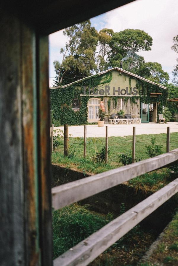 Converted Barn - Tiger House Hermitage Havelock North Exterior photo