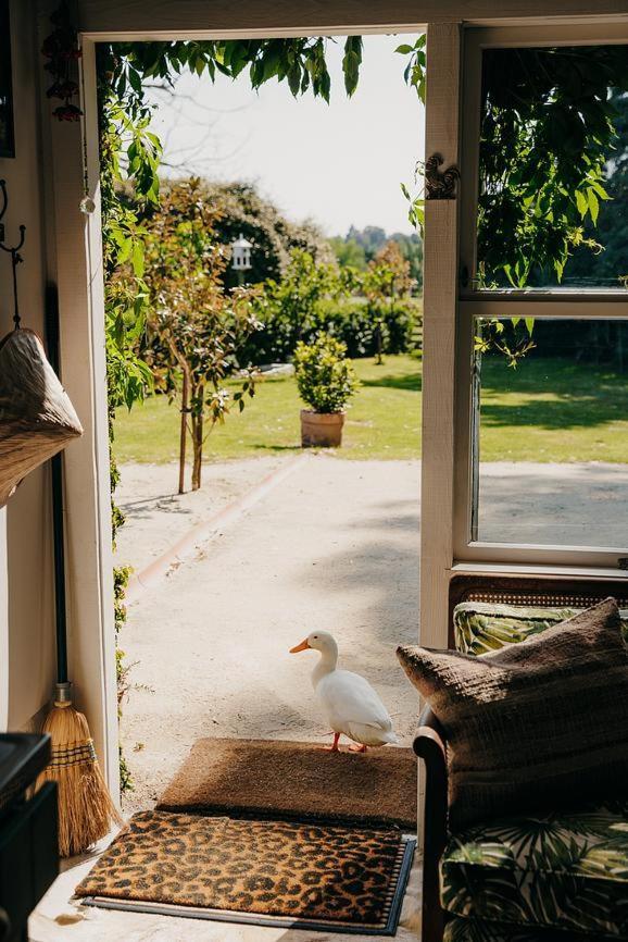 Converted Barn - Tiger House Hermitage Havelock North Exterior photo